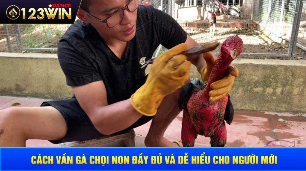 Cach Van Ga Choi Non Day Du Va De Hieu Cho Nguoi Moi