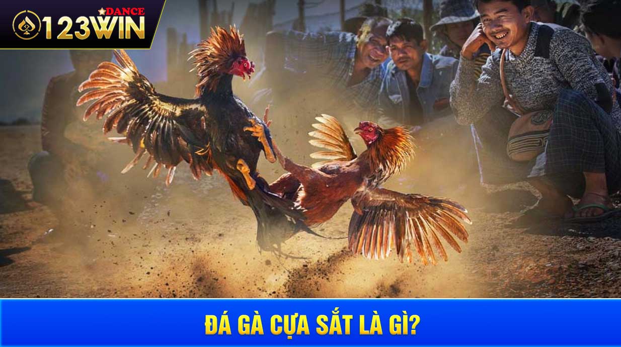 Đá gà cựa sắt là gì?